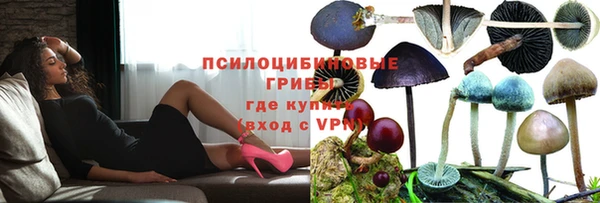 соль курить ск Заводоуковск