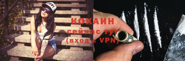 индика Заволжье
