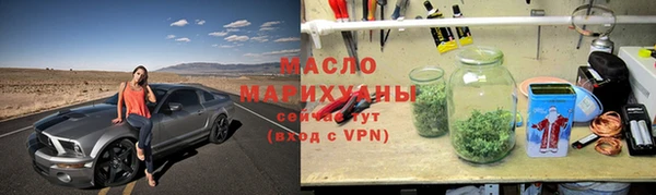 индика Заволжье