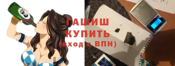 индика Заволжье