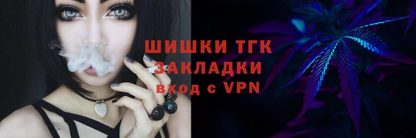 индика Заволжье