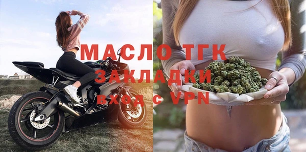 индика Заволжье