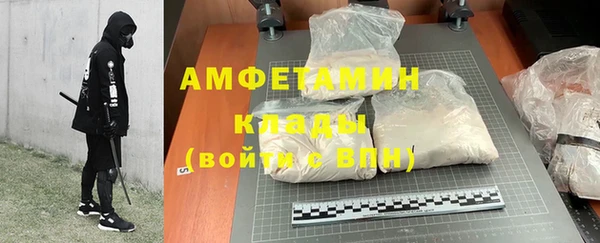 индика Заволжье