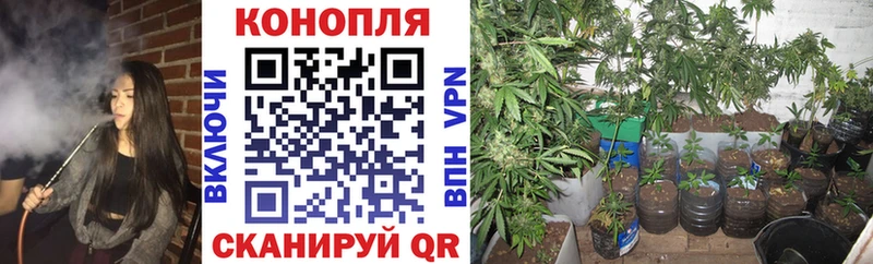 Бошки марихуана семена  mega ссылка  Славск 